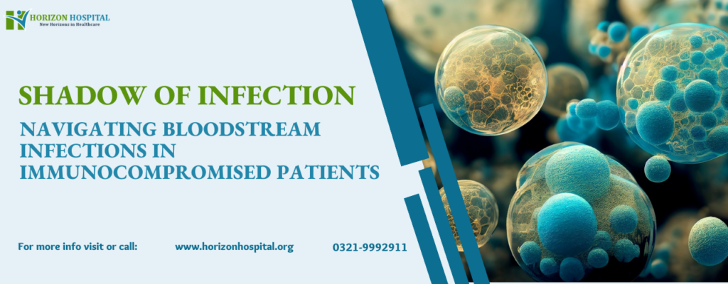 Living in the Shadow of Infection: Navigating Bloodstream Infections in Immunocompromised Patients