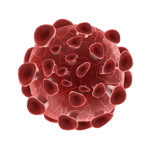 pngtree-stem-cell-cancer-virus-png-image_2844867.jpg.png