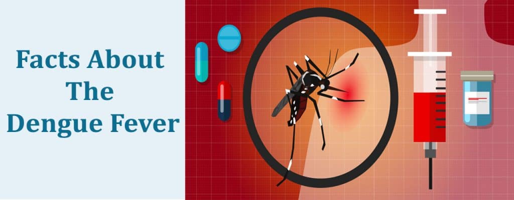 Facts About The Dengue Fever