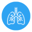 lungs (2)