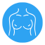 breast (2)