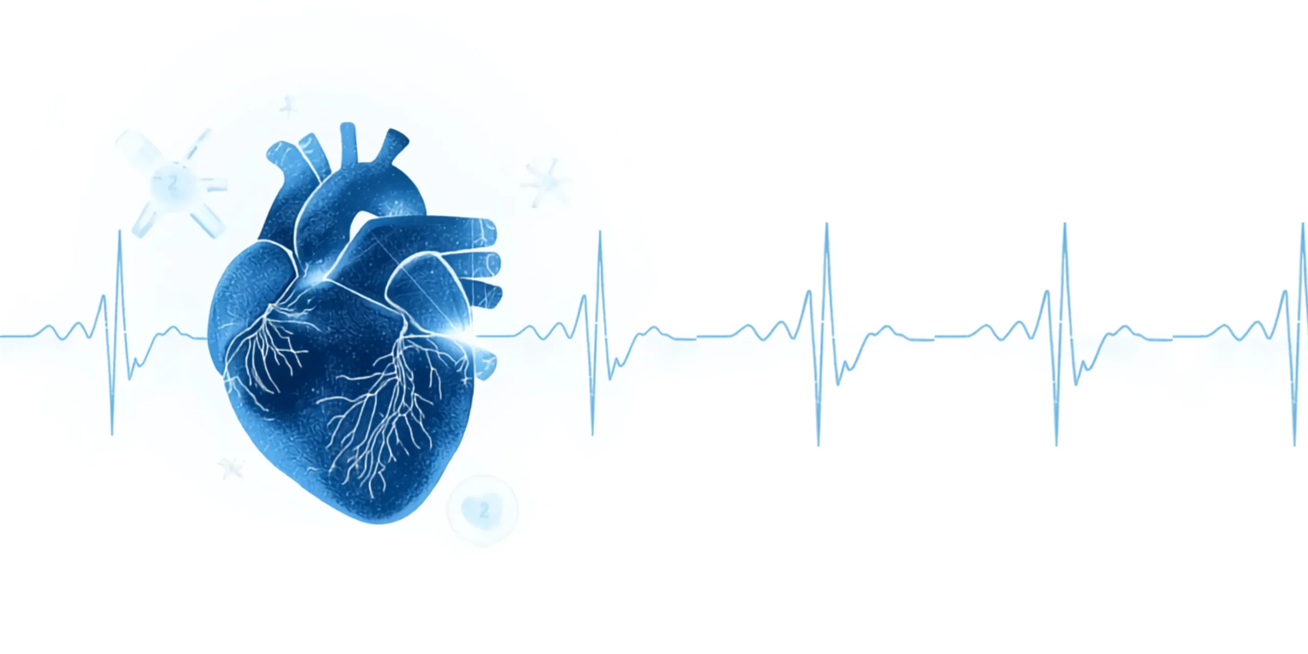 cardiology
