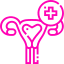 uterus